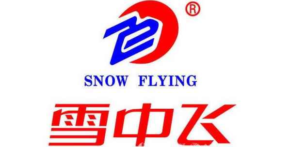  7、雪伦 雪伦国际时装（北京）有限公司创始于1993年 2022秋冬潮牌新款推荐（羽绒服什么牌子好 这些国内国外知名品牌你都知道吗 ）