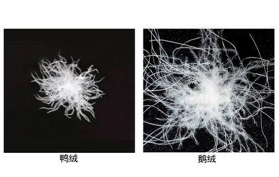 如果说买鹅绒买的是品位哪种潮牌品牌比较好看？（羽绒服是鸭绒的好还是鹅绒的好 不应笼统区分谁优谁劣 ）