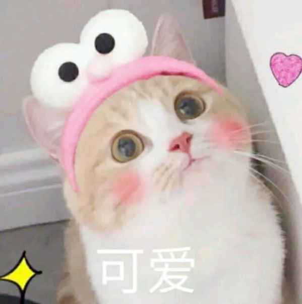小七就早早备好了一双打算去音乐节上穿 潮牌冬季如何御寒提醒（离成为女主角你还差一双下雨天的时尚雨靴！ ）