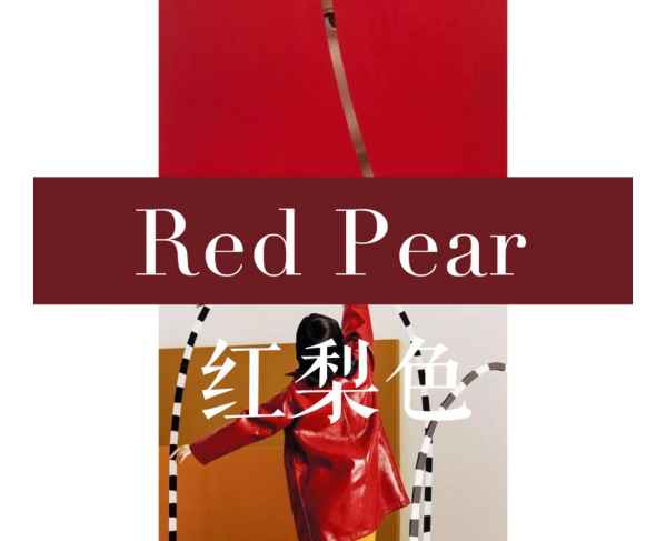 像寒冬里的红叶 2022秋冬潮牌新款推荐（今年秋冬流行穿什么颜色的衣服 最美2018秋冬配色大全 ）