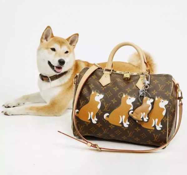  Louis Vuitton狗年限定款 Louis Vuitton这次的狗年限定主要以**的柴犬为主要形象哪种潮牌品牌比较好看？（狗年限定款 这些大牌是不是对狗年有所“误解”？ ）