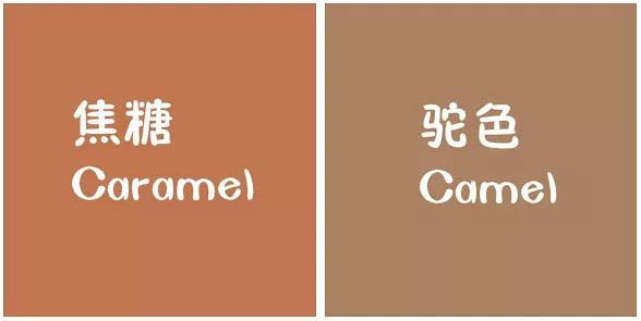 焦糖色羽绒服搭配图片 玩转秋冬“网红色” 
