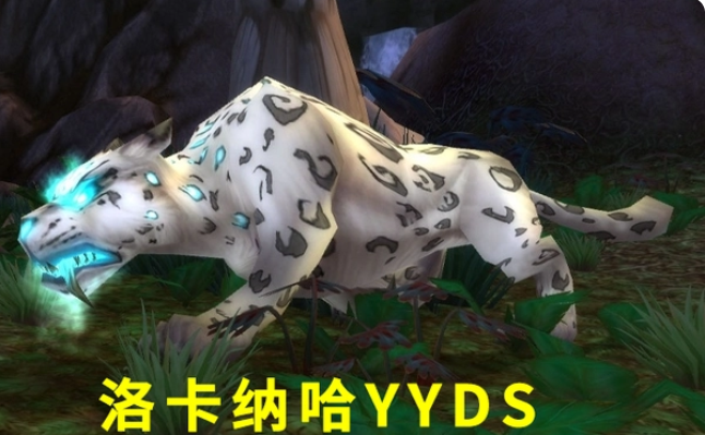  2、猎人 猎人的可玩性一直都很高 玩家最喜爱潮牌有哪些？（wlk可玩性最高的职业？魔兽世界怀旧服最值得养的职业是什）