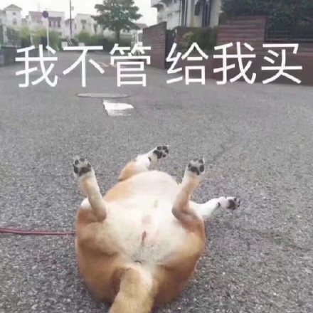 图片 11.png
