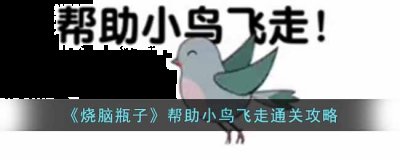 有需要的小伙伴不要错过 玩家最喜爱潮牌有哪些？（烧脑瓶子帮助小鸟飞走怎么过?烧脑瓶子帮助小鸟飞走通关攻略）