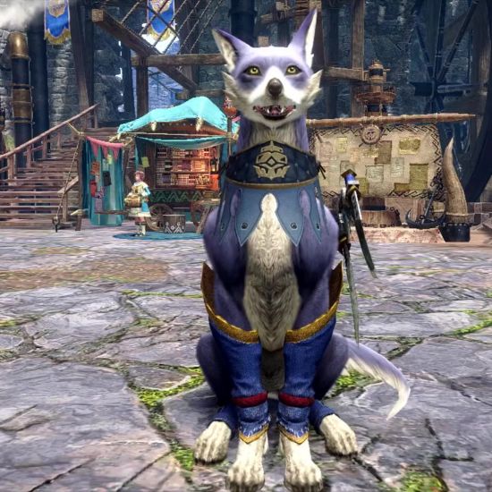 《怪物猎人崛起：曙光》追加内容 埃尔迦德系列猫犬 玩家最喜爱潮牌有哪些？（《怪物猎人崛起：曙光》追加内容 埃尔迦德系列猫犬）