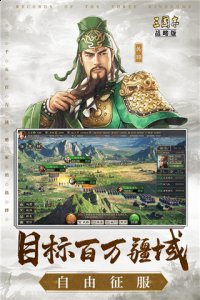 感受精彩的三国世界的冒刺激游戏险体验 6、灵活的排兵布阵 玩家最喜爱潮牌有哪些？（三国志战略版灵犀客户端 三国志战略版灵犀客户端下载）