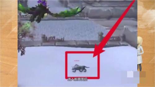 可以选择直接秒掉它 玩家最喜爱潮牌有哪些？（魔兽世界怀旧服幽灵虎？魔兽世界幽灵虎坐骑怎么获得）