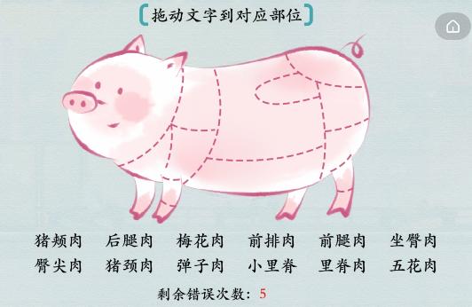  小编： 潮牌网 汉字神操作猪猪超可爱怎么过关？拖动文字到对应部位通关攻略 潮牌游戏互动（汉字神操作猪猪超可爱怎么过关？拖动文字到对应部位通关攻略）