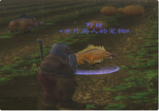 猎人职业达到10级后 2022冬季潮牌新款推荐（魔兽世界猎人前期宠物去哪儿抓？魔兽世界猎人抓宠物）