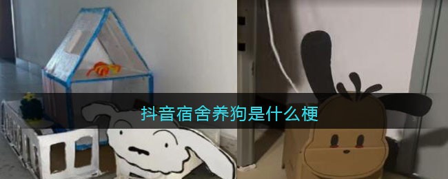  三、来看看各式各样的宿舍小狗 哪种潮牌品牌比较好看？（抖音宿舍养狗是什么梗？抖音宿舍养狗是真的吗？）