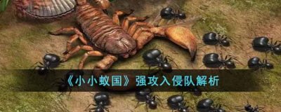 攻击力面板非常高 街拍潮牌推荐（小小蚁国强攻入侵队怎么样？小小蚁国强攻入侵队解析）