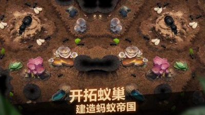小小蚁国全新游戏兑换码是什么？小小蚁国全新游戏兑换码一览 街拍潮牌推荐（小小蚁国全新游戏兑换码是什么？小小蚁国全新游戏兑换码一览）