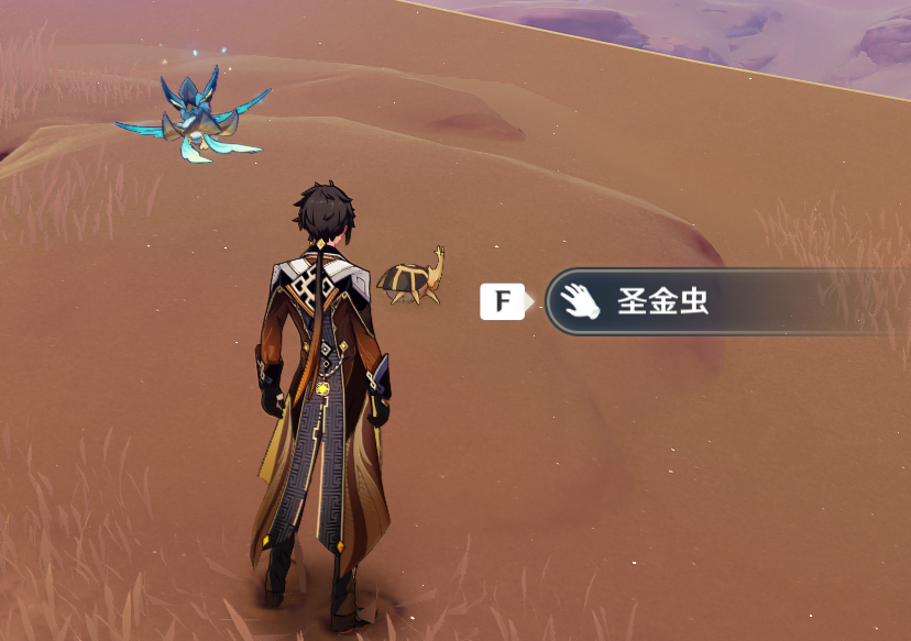 原神圣金虫在哪里？原神3.1圣金虫分布位置 哪种潮牌品牌比较好看？（原神圣金虫在哪里？原神3.1圣金虫分布位置）