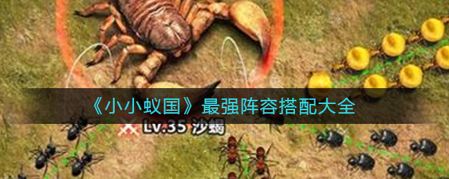 同为当前版本毕业阵容 潮牌冬季如何御寒提醒（小小蚁国最强阵容怎么搭配？小小蚁国最强阵容搭配大全）