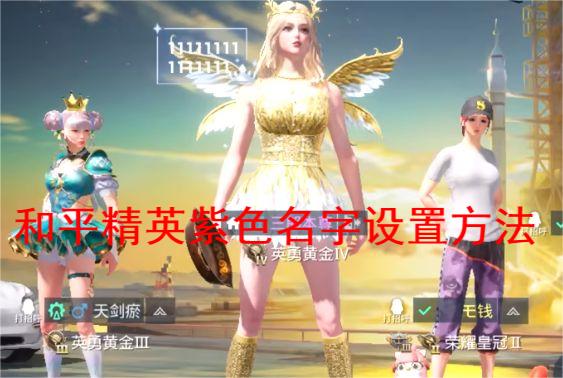 并且玩家们还可以对自己的名字进行美化的 玩家最喜爱潮牌有哪些？（和平精英紫色名字怎么设置？和平精英紫色ID设置方法）