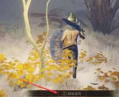 本次分享就到这里了哟~下期见！  潮牌游戏互动（艾尔登法环黄金种子在哪里？艾尔登法环黄金种子位置介绍）
