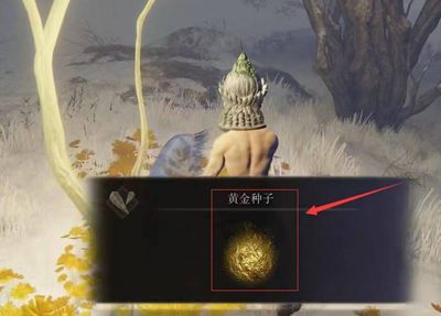 本次分享就到这里了哟~下期见！  潮牌游戏互动（艾尔登法环黄金种子在哪里？艾尔登法环黄金种子位置介绍）