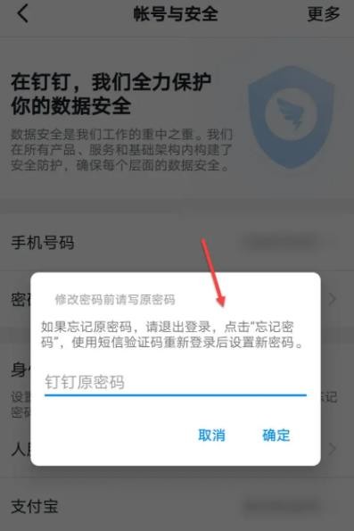 企业协应用开发和同办公的平台 哪种潮牌品牌比较好看？（钉钉在哪里能看到自己的密码？钉钉自己的密码查看方法）