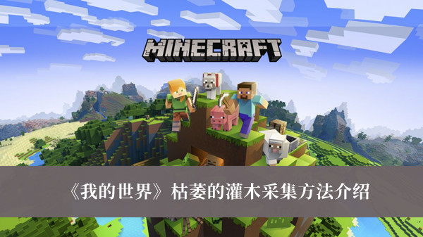 本次分享就到这里啦 玩家最喜爱潮牌有哪些？（我的世界枯萎的灌木怎么采集？我的世界枯萎的灌木采集方法）