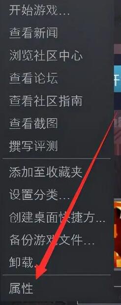 在常规中点击设置启动选项 2022冬季潮牌新款推荐（csgo国服启动项怎么设置？csgo国服启动项设置方法）