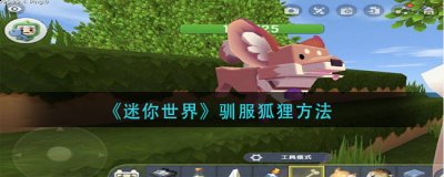 你知道游戏中的狐狸要怎么驯服吗？相信不少的玩家对此不怎么清楚 2022冬季潮牌新款推荐（迷你世界怎么驯服狐狸？迷你世界驯服狐狸方法）