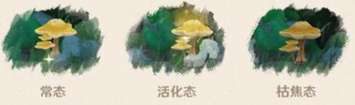 这里存在着一些附着奇妙的增生物 潮牌游戏互动（原神3.0三相众物是什么？原神3.0三相众物介绍）