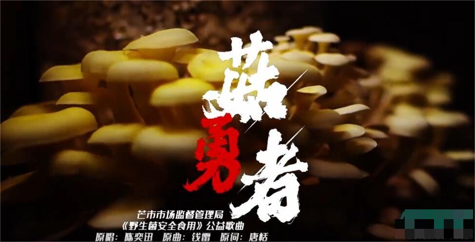 各位3366的家人们 街拍潮牌推荐（抖音菇勇者是什么梗？梗的意思及出处详解）