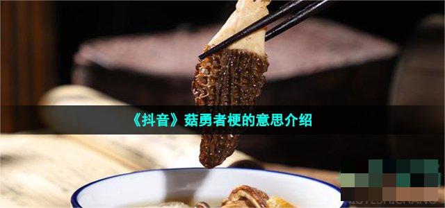 各位3366的家人们 街拍潮牌推荐（抖音菇勇者是什么梗？梗的意思及出处详解）