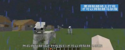 带给玩家视觉上的新感觉 玩家最喜爱潮牌有哪些？（我的世界骷髅马怎么驯服？我的世界骷髅马驯服方法）