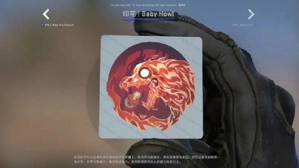 希望小编以下的内容是可以帮助到你的 潮牌冬季如何御寒提醒（CSGO十周年胶囊多少钱?十周年胶囊价格奖励一览）
