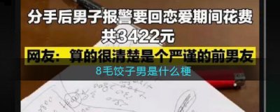 心思缜密； 3、最为惊叹的是账单里面还包含了男生妈妈包的水饺 玩家最喜爱潮牌有哪些？（8毛饺子男是什么梗？8毛饺子男梗的出处及意思详解）