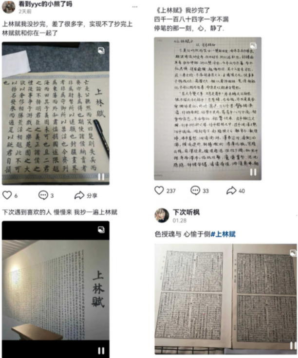 表达对自己爱的人一生一世的爱 以上就是小编为大家带来的上林赋详细介绍啦！屏幕前的你懂了啵？手抄《上林赋》不一定能得心上人 潮牌冬季如何御寒提醒（抖音手抄上林赋是什么梗？抖音手抄上林赋梗的介绍）