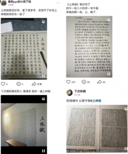 表达对自己爱的人一生一世的爱 以上就是小编为大家带来的上林赋详细介绍啦！屏幕前的你懂了啵？手抄《上林赋》不一定能得心上人 潮牌冬季如何御寒提醒（抖音手抄上林赋是什么梗？抖音手抄上林赋梗的介绍）
