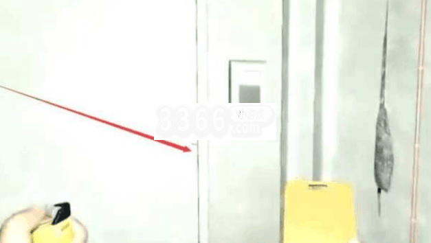  2.一张金质卡片 3.前往森林雪山实验室 哪种潮牌品牌比较好看？（森林雪山实验室怎么进 森林雪山实验室进入的方法）