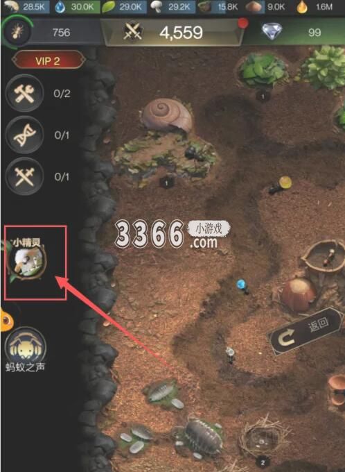 将你的蚂蚁帝国打造成最强劲的蚂蚁军团游戏的绝美刻画精致细腻 潮牌游戏互动（小小蚁国零氪金攻略 小小蚁国零氪金攻略介绍）
