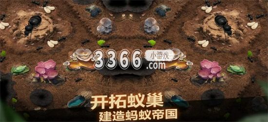为玩家们真实的还原了蚂蚁生态 玩家最喜爱潮牌有哪些？（小小蚁国平民最强阵容 小小蚁国平民最强阵容推荐）
