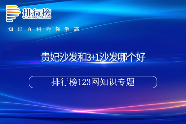 或者是将沙发位置重新摆放一下 2023年最新流行（贵妃沙发和3+1沙发哪个好）